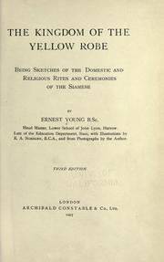 Cover of The kingdom of the yellow robe by Ernest Young