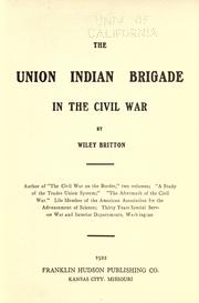 Cover of The Union Indian Brigade in the Civil War by Wiley Britton