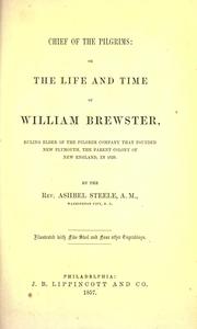 Front cover of Chief of the Pilgrims by Ashbel Steele