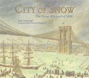 Cover of City of snow by Linda Oatman High