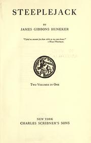 Cover of Steeplejack by James Huneker