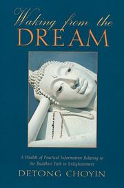 Front cover of Waking from the dream by Detong ChoYin