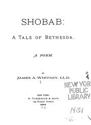 Front cover of Shobab: a tale of Bethesda by James A. Whitney