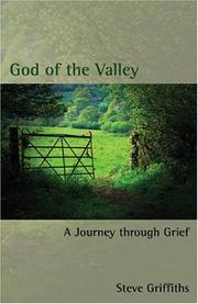 Front cover of God of the Valley by Rev Dr Steve Griffiths