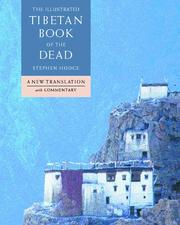 Cover of The illustrated Tibetan book of the dead by Stephen Hodge