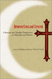 Front cover of Between cross and crescent : Christian and Muslim perspectives on Malcolm and Martin by Lewis V. Baldwin