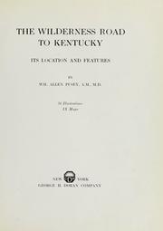 Front cover of The Wilderness road to Kentucky by William Allen Pusey