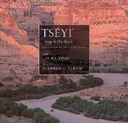 Cover of Tséyi' by Laura Tohe