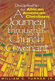 Front cover of Discipleship for African American Christians by William C. Turner