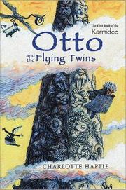 Front cover of Otto and the Flying Twins by Charlotte Haptie