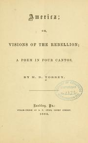 Cover of America by H. D. Torrey