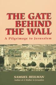 Cover of The gate behind the wall by Samuel C. Heilman