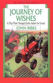 Front cover of The journey of wishes by John Bibee