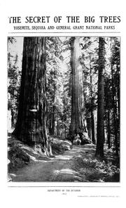 Front cover of The secret of the big trees by Huntington, Ellsworth