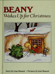 Cover of Beany wakes up for Christmas by Lisa Bassett