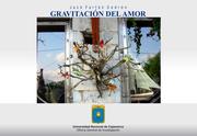 Front cover of GRAVITACIÓN DEL AMOR by Jack Farfán Cedrón