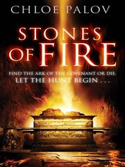 Front cover of Stones of Fire by Chloe Palov