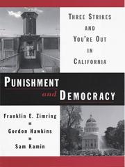 Cover of Punishment and Democracy by Franklin E Zimring