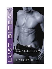 Cover of The Gallery by Dakota Rebel