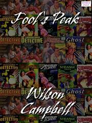 Cover of Fool's Peak by Wilson Campbell