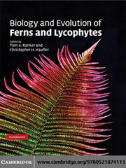 Front cover of Biology and Evolution of Ferns and Lycophytes by Tom A Ranker