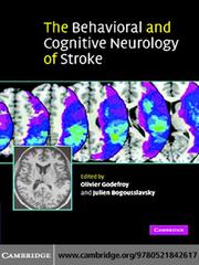 Front cover of The Behavioral and Cognitive Neurology of Stroke by Olivier Godefroy