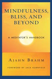 Cover of Mindfulness, Bliss, and Beyond by Ajahn Brahm