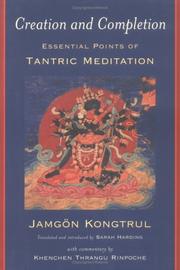 Cover of Lam źuga Kyi gaṅ zag las daṅ po pa la phan pa'i bskyed rdzogs kyi gnad bsdus by Jamgon Kongtrul Lodro Thaye
