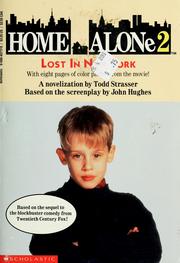 Cover of Home Alone 2 by Todd Strasser