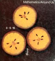 Front cover of Mathematics around us by L. Carey Bolster
