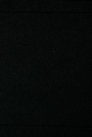 Front cover of The white Shoshoné by Charles L. Paige