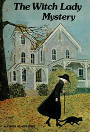 Front cover of The witch lady mystery by Carol Beach York