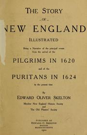 Front cover of The story of New England, illustrated by Edward Oliver Skelton