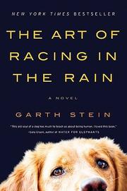 Front cover of The Art of Racing in the Rain by Garth Stein