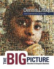 Front cover of The big picture by Dennis Littky