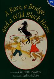 Front cover of A rose, a bridge, and a wild black horse by Charlotte Zolotow
