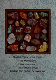 Cover of Bright horizons: a collection, book 5 by Charlotte S. Huck