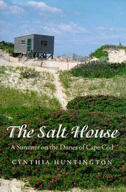 Front cover of The salt house by Cynthia Huntington