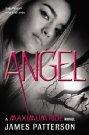 Cover of Angel by James Patterson