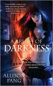 Front cover of A Brush of Darkness by Allison Pang