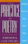 Front cover of The Practice of Poetry by Robin Behn