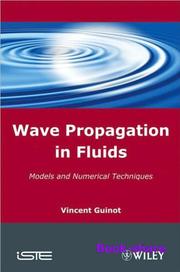 Cover of Wave propagation in fluids by Vincent Guinot