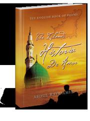 Front cover of The Islands Historia De Amor by Abdul Haye Amin