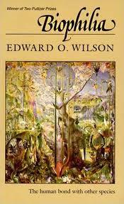 Front cover of Biophilia by Edward Osborne Wilson