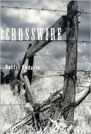 Cover of Crosswire by Dotti Enderle