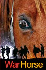 Cover of War Horse by Michael Morpurgo