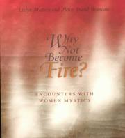 Cover of Why not become fire? by Evelyn Mattern
