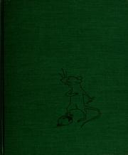 Cover of The boy, the rat, and the butterfly by Beatrice Schenk De Regniers