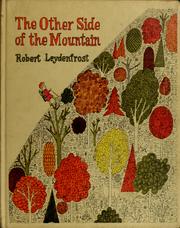 Front cover of The other side of the mountain by Robert J. Leydenfrost