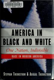 Front cover of America in black and white by Stephan Thernstrom